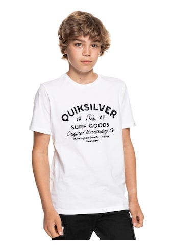 Quiksilver T-Shirt »Closed Tions« kaufen