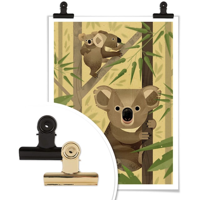 Wall-Art Poster »Koala«, Tiere, (1 St.), Poster, Wandbild, Bild, Wandposter  auf Raten bestellen
