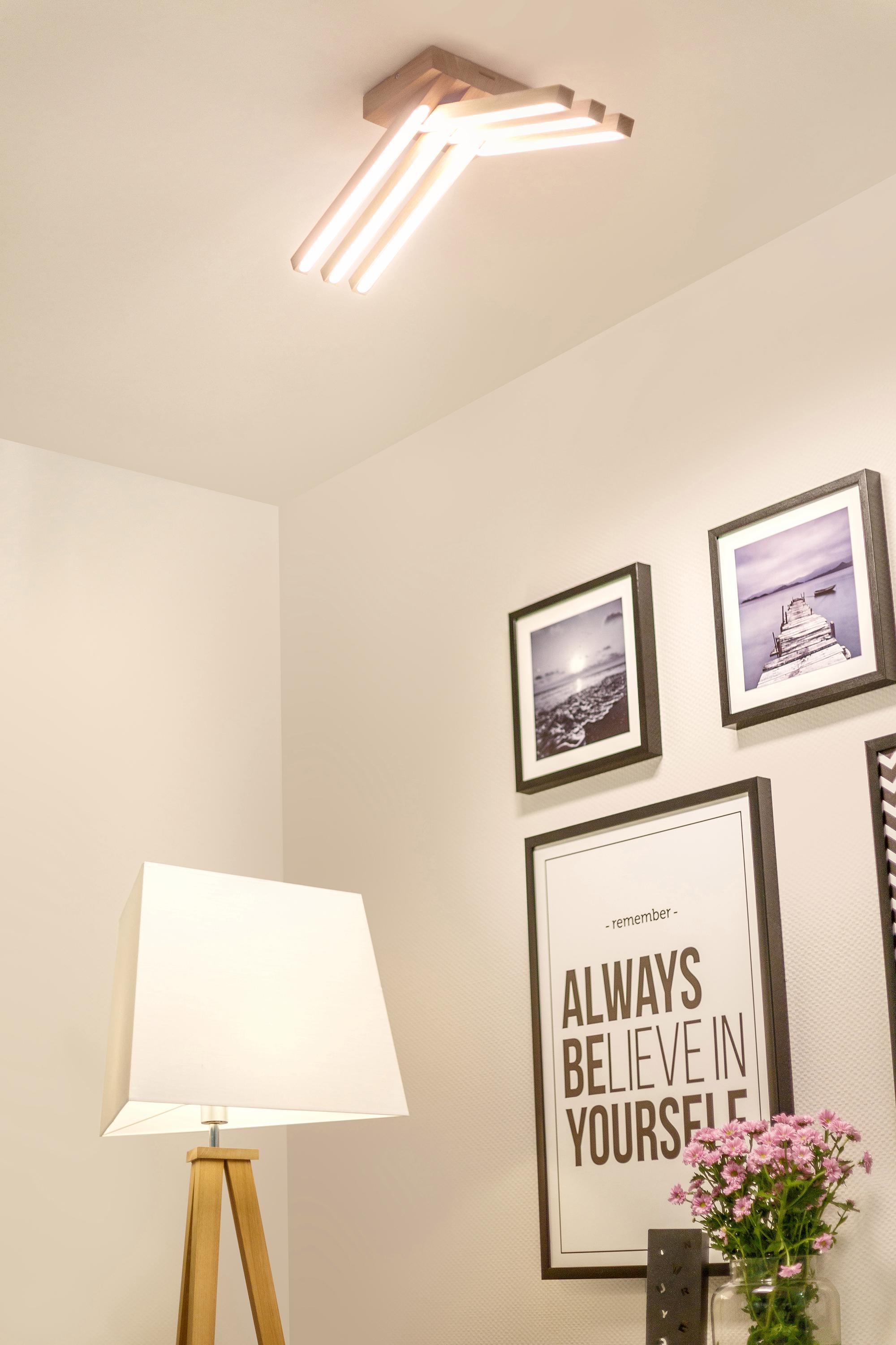 SPOT Light LED Deckenleuchte »LINUS«, Leuchtmittel LED-Modul | LED fest integriert, LED Deckenlampe
