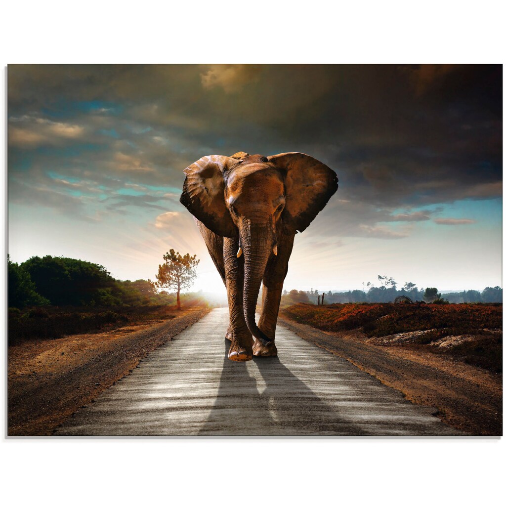 Artland Glasbild »Ein Elefant läuft auf der Straße«, Wildtiere, (1 St.)