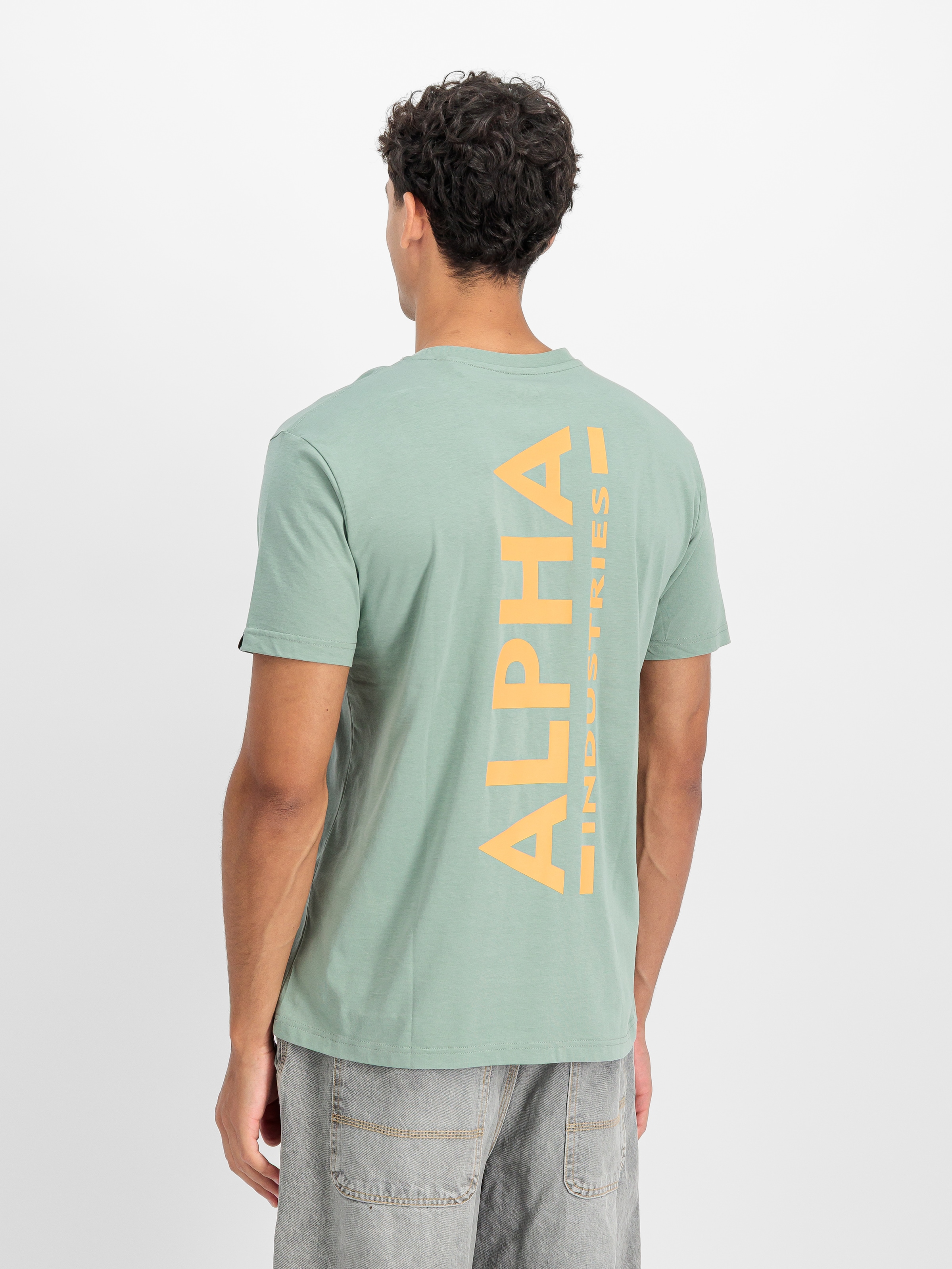 Alpha Industries Rundhalsshirt »Backprint T« Baumwolle, regular fit