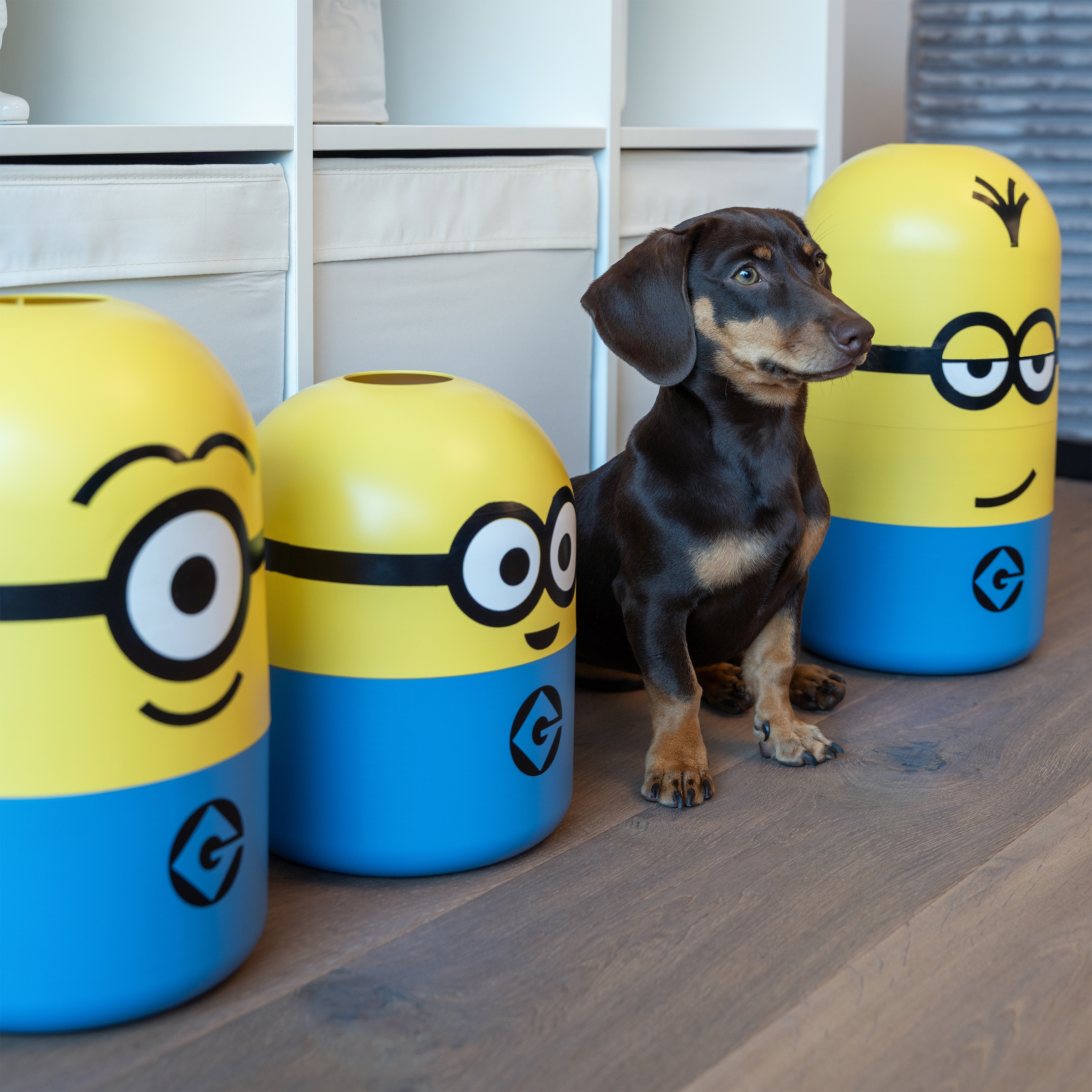 keeeper Aufbewahrungsbox »Stuart "minions" Aufbewahrungsdose 8L« keeeper mit Design aus "Ich einfach unverbesserlich"