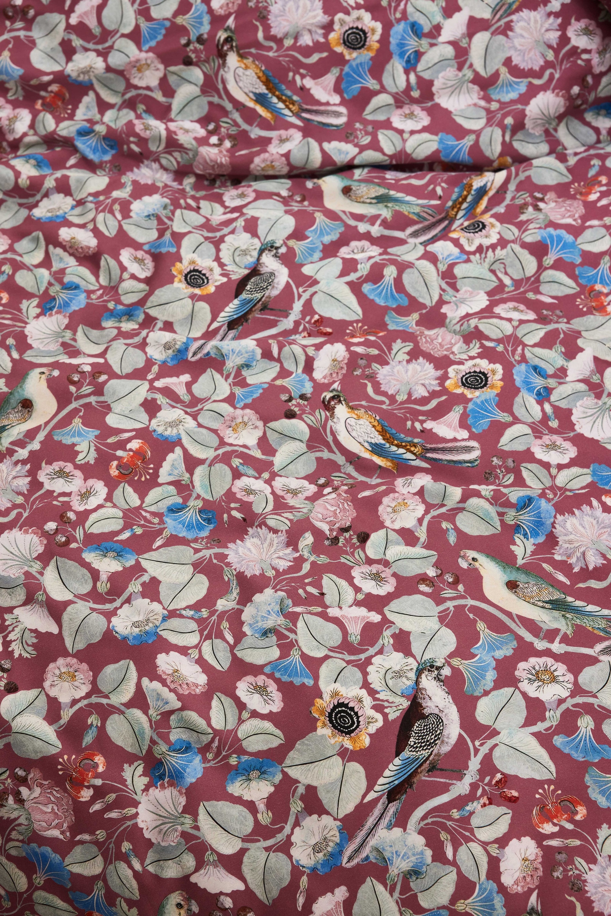 Essenza Wendebettwäsche »Aleste, 100% Bio-Baumwollsatin« 2 Stk. tlg.