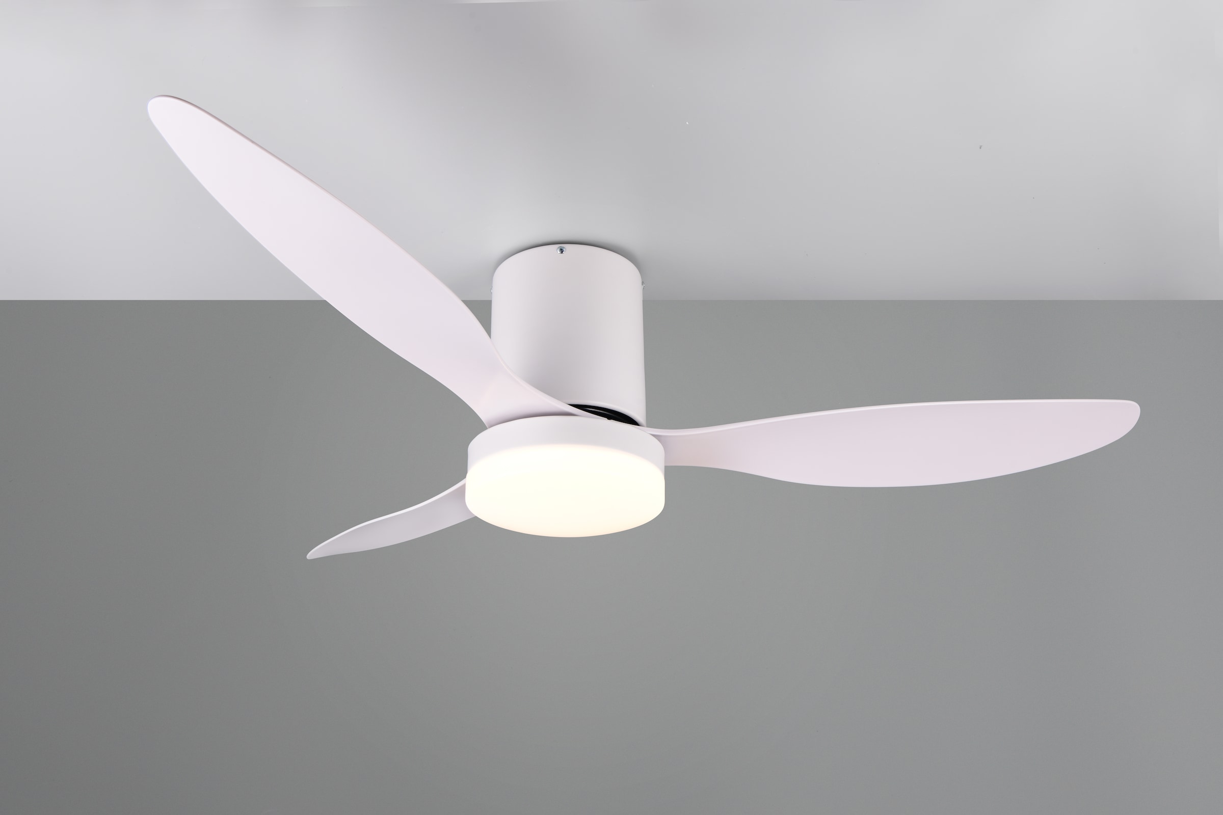 REALITY Leuchten LED Deckenleuchte »GÖTEBORG mit Ventilator, Deckenventilator mit Licht inkl Fernbedienung« LED-Board 1 Stk. warmweiß - kaltweiß 6 Geschwindigkeiten Timer Vor- & Rücklauf LED dimmbar CCT Nachtlicht