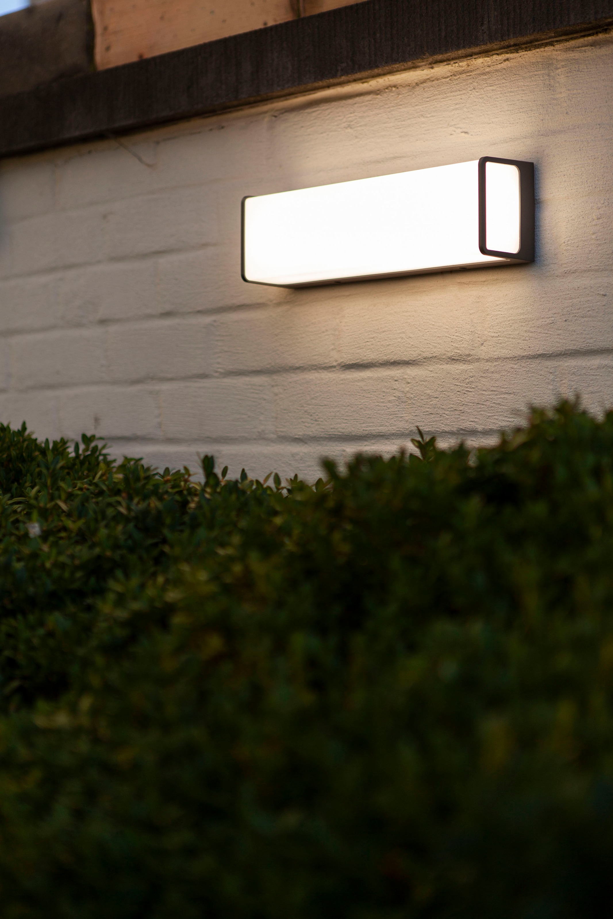 LUTEC | XXL online Garantie Jahren mit »DOBLO« Außen-Wandleuchte 3 kaufen LED