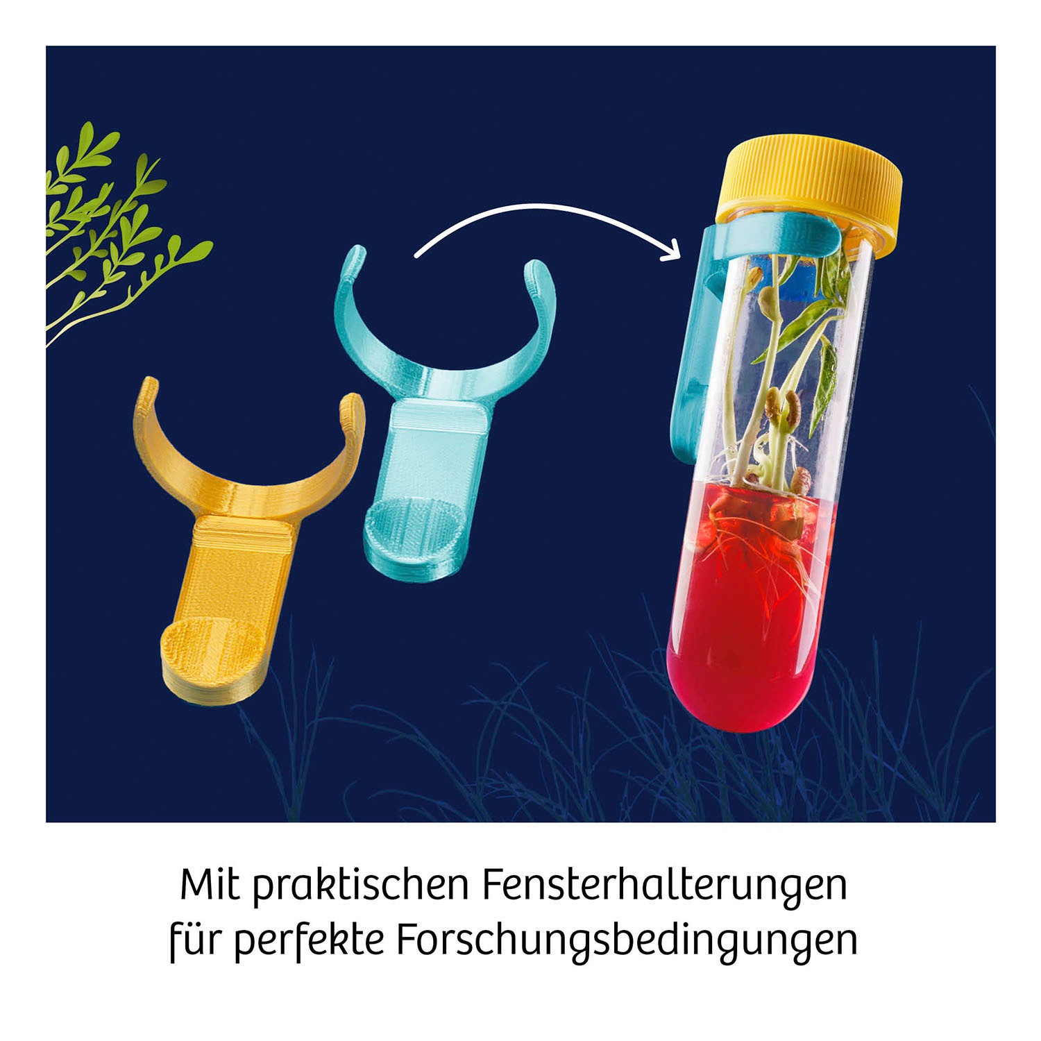 Kosmos Experimentierkasten »Fun Science Aqua-Gel Pflanzen«, Made in Germany