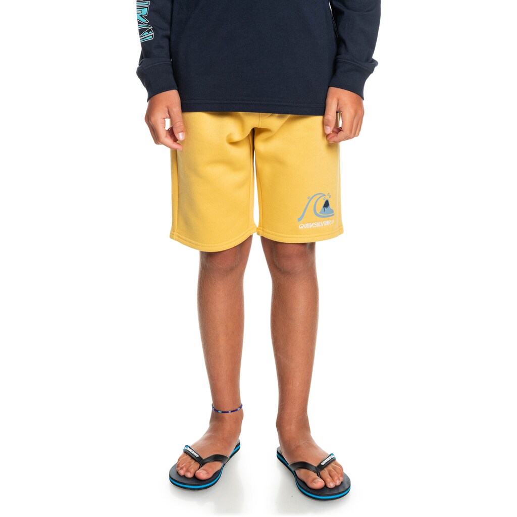 Quiksilver Sweatshorts »Easy Day«