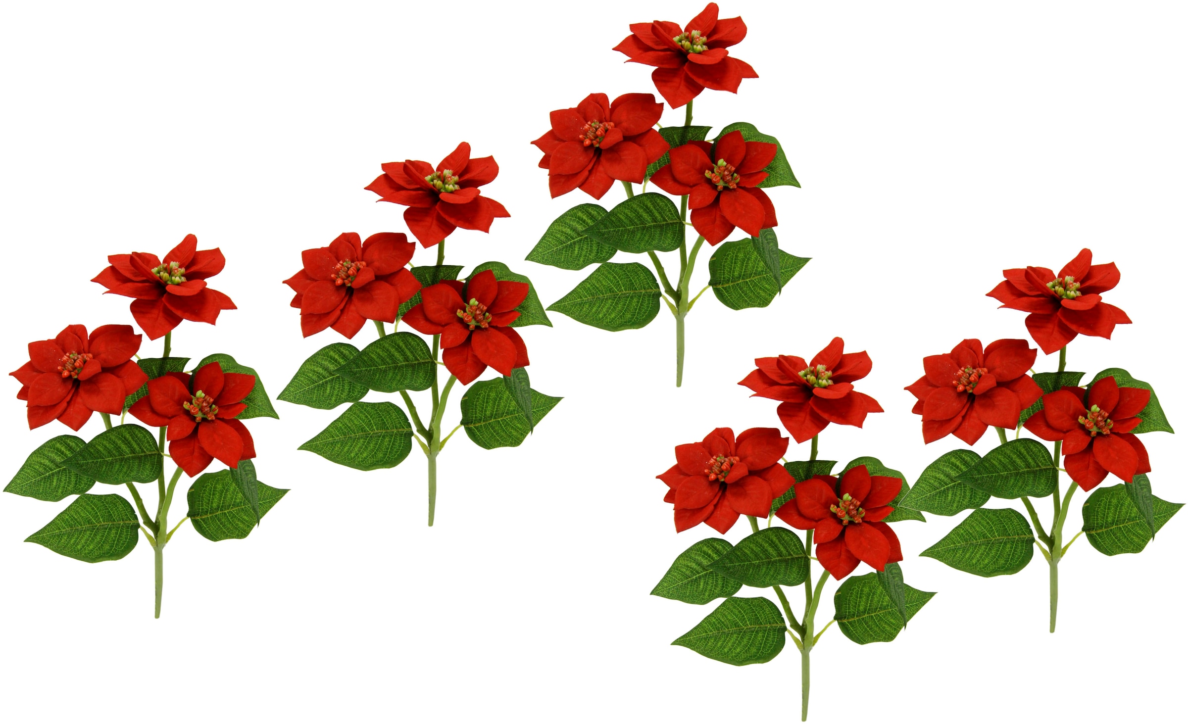 I.GE.A. Kunstblume »Poinsettie« Künstlicher Poinsettiazweig, 5er Set
