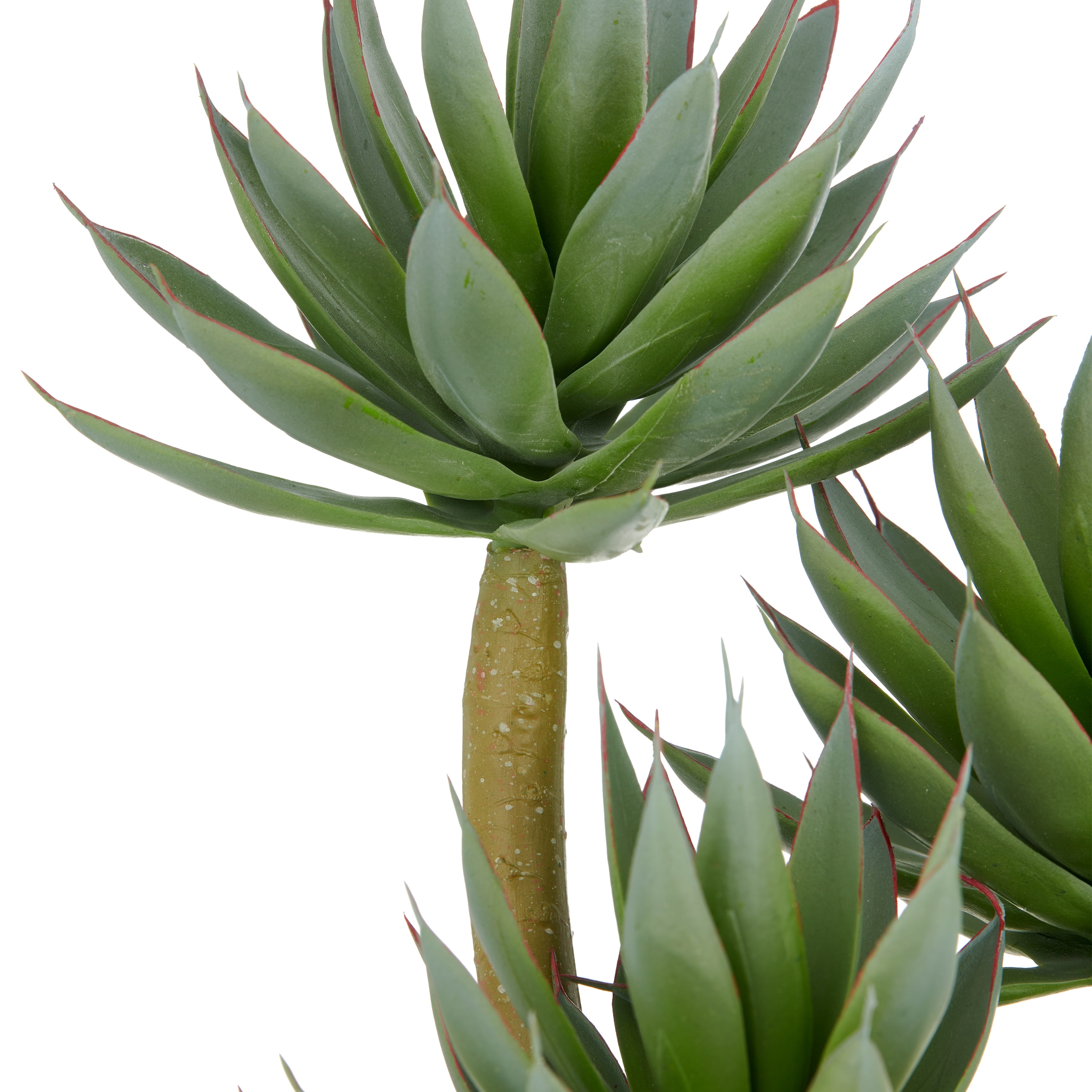 Creativ green Kunstpflanze »Agave blue glow«, mit dekorativem Kies