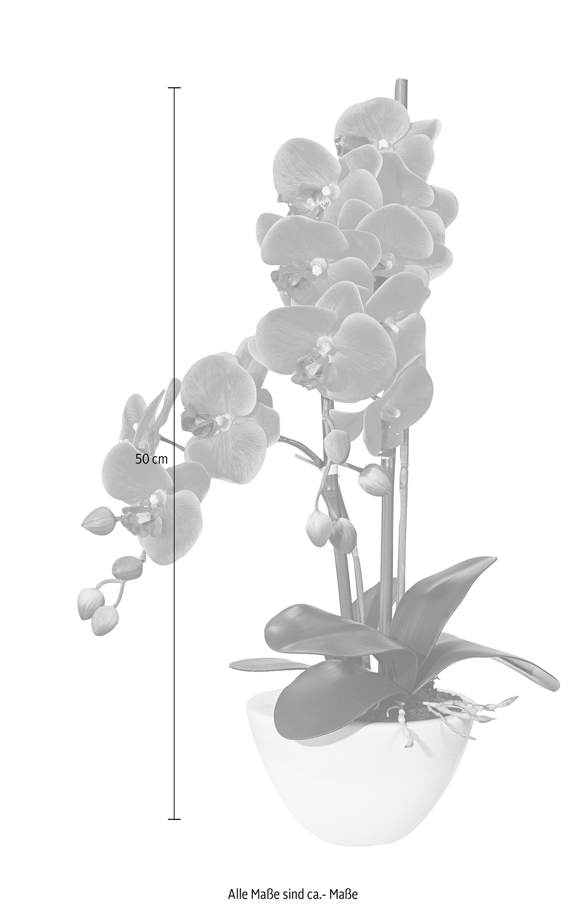Creativ green Kunstpflanze »Orchidee«