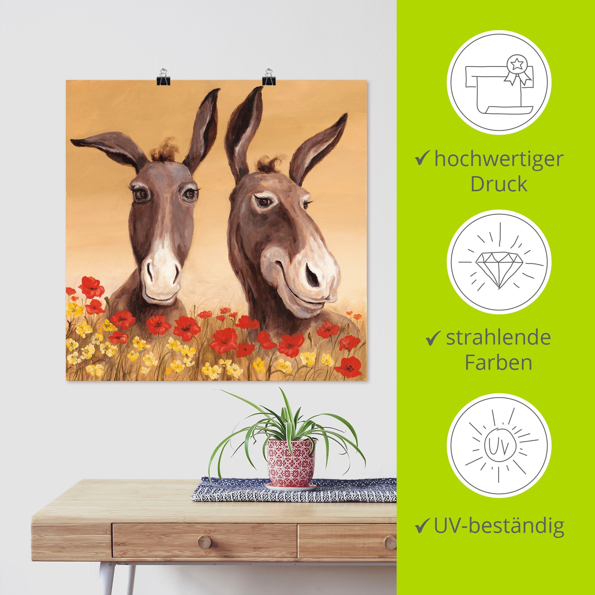 Artland Wandbild »Esel«, Haustiere, (1 St.), als Alubild, Outdoorbild, Leinwandbild, Poster, Wandaufkleber