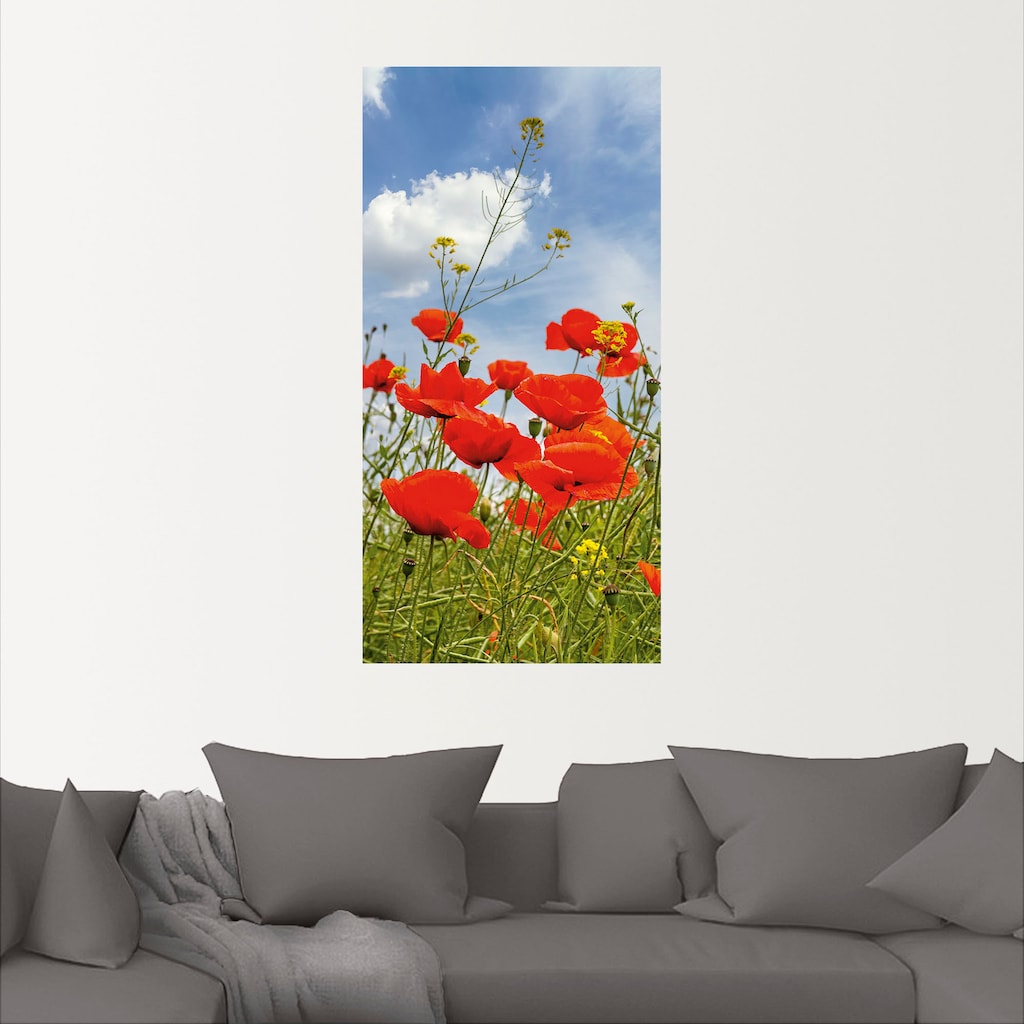 Artland Wandbild »Mohnblumen im Panorama«, Blumenbilder, (1 St.)