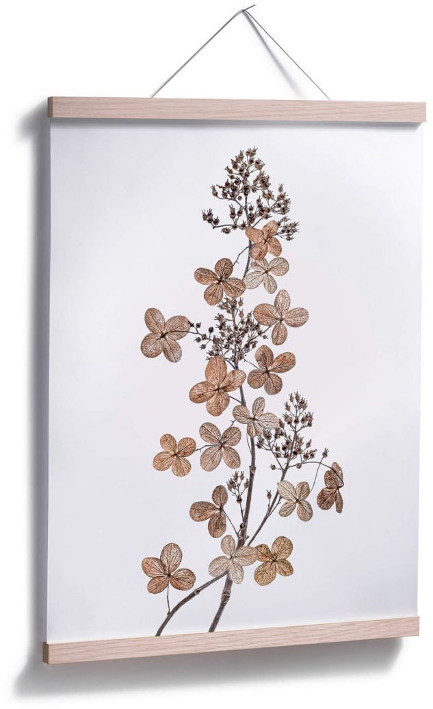 Wall-Art Poster »Hortensie«, kaufen Raten (1 St.) Blumen, auf