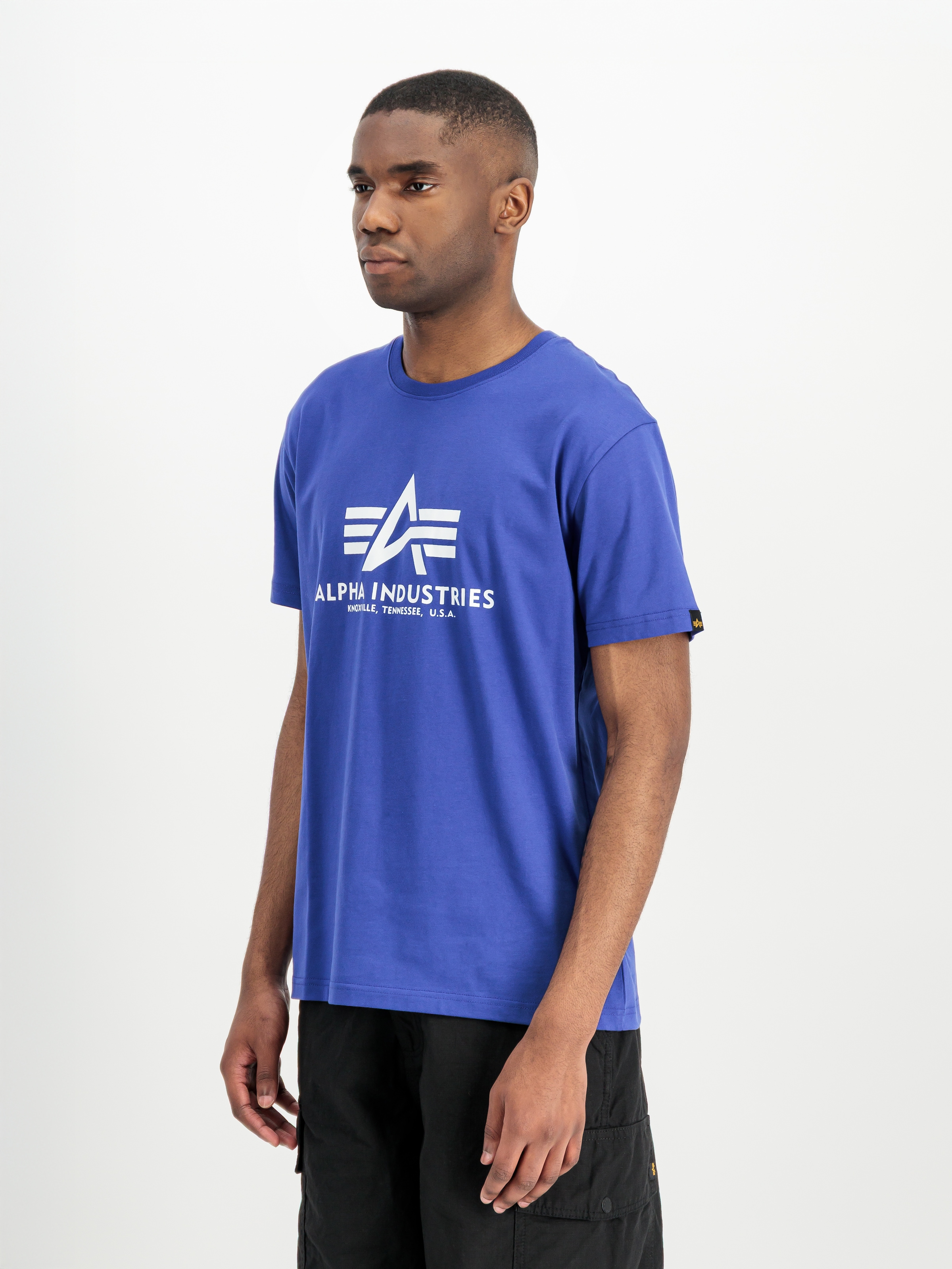 Alpha Industries T-Shirt »Basic T-Shirt« Baumwolle, regular fit