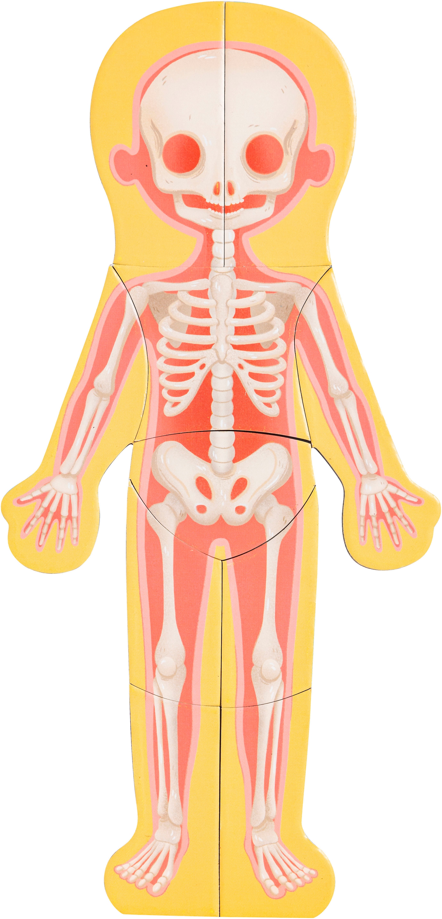 Hape Konturenpuzzle »Menschlicher Körper«