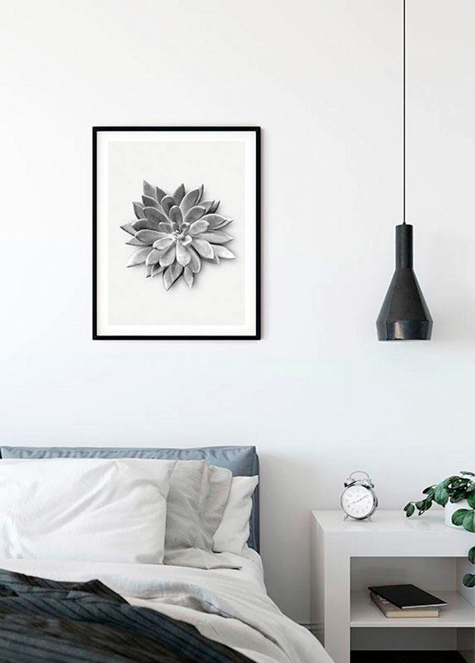 Komar Bild »Succulent Agave«, Pflanzen-Blätter, (1 St.), Wandbild zur Dekoration - ohne Rahmen