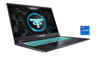 Gaming-Notebook »Striker 1667«, 39,62 cm, / 15,6 Zoll, Intel, Core i7, GeForce RTX...