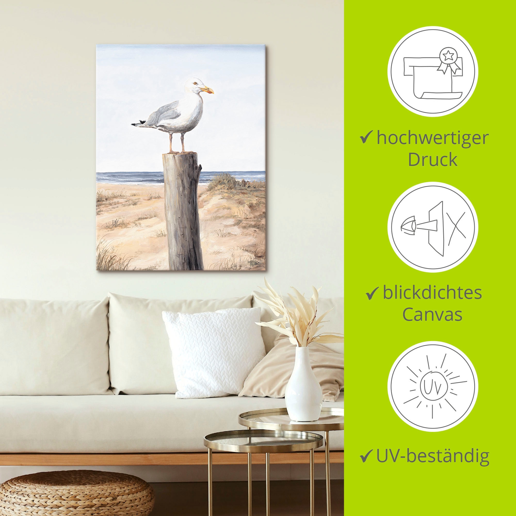 Artland Wandbild »Möwe«, Vögel, (1 St.), als Alubild, Outdoorbild, Leinwandbild, Poster, Wandaufkleber