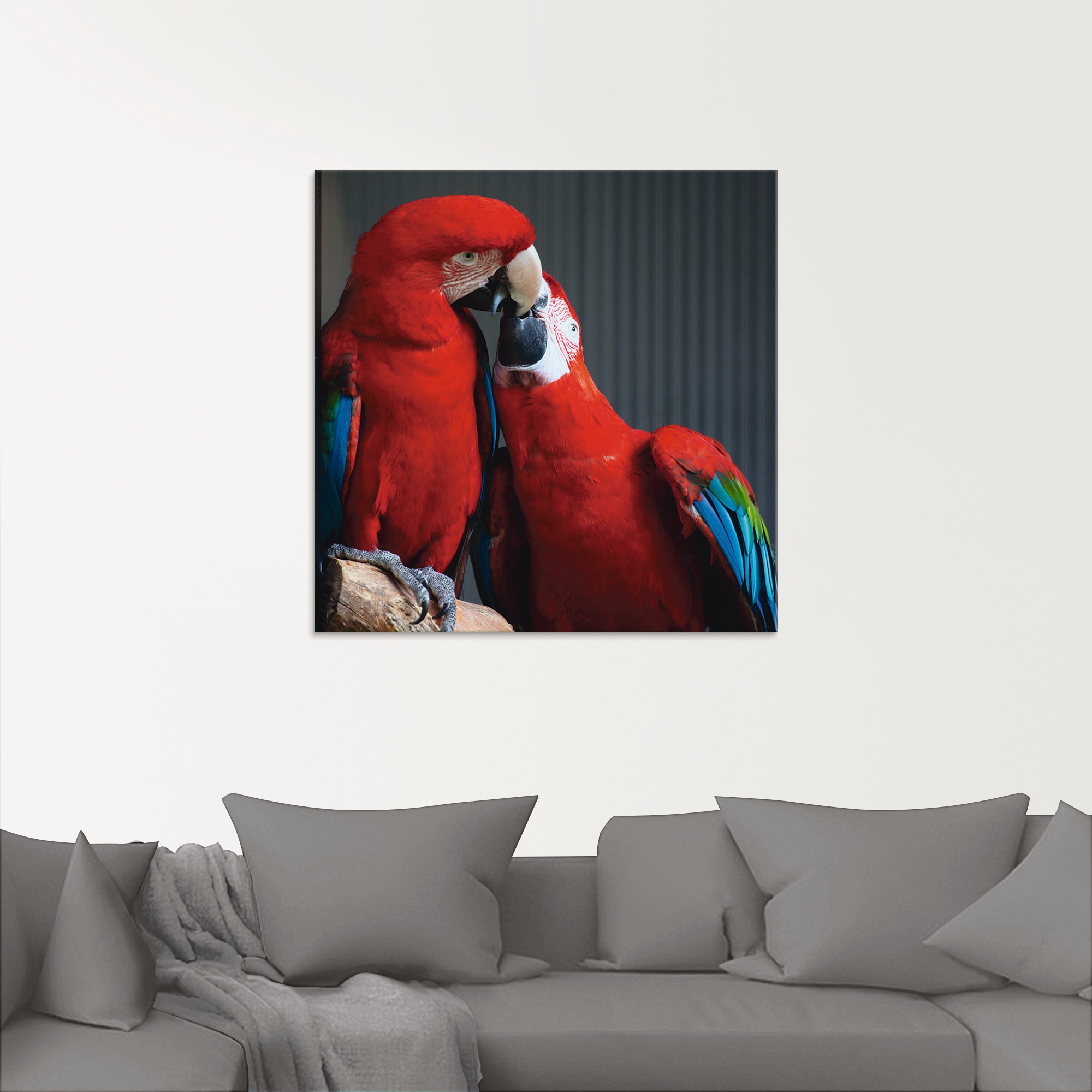 Artland Glasbild »Papageien« Vögel 1 Stk. tlg. in verschiedenen Größen