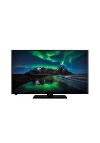 NABO LED-Fernseher »NABO 43 UA6500«, 109 cm/43 Zoll, 4K Ultra HD, Smart-TV kaufen
