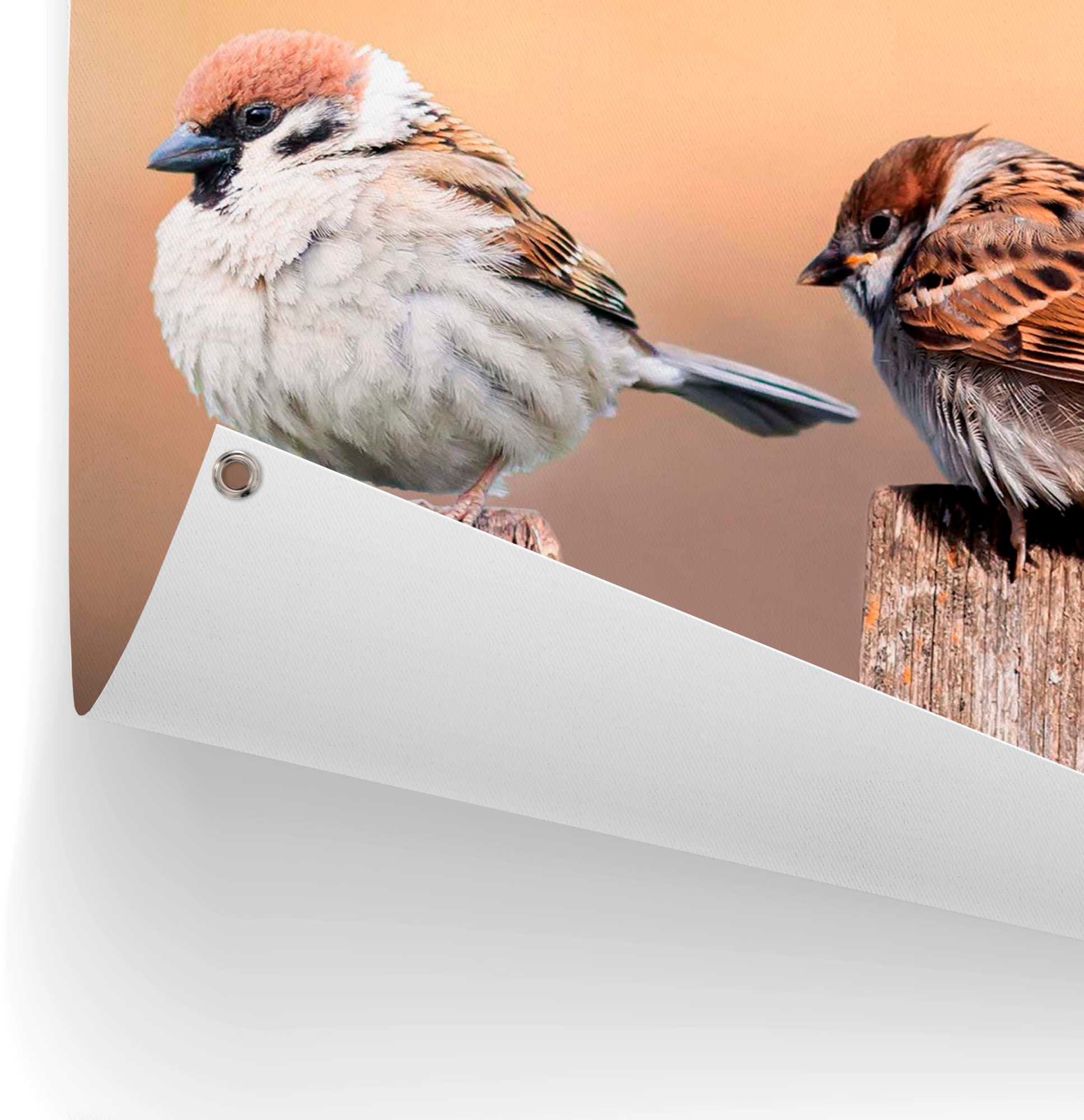 Reinders! Poster »Vogelfamilie«