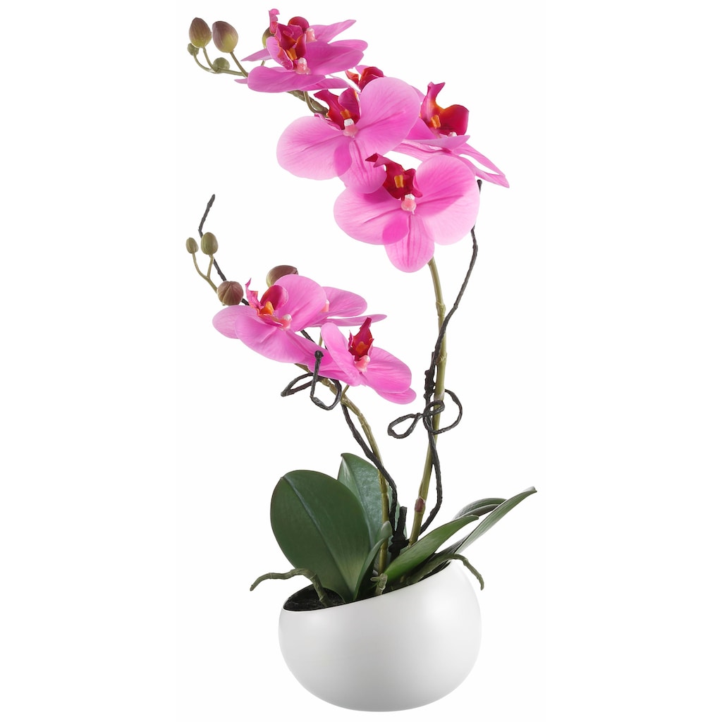 Creativ green Kunstpflanze »Orchidee«