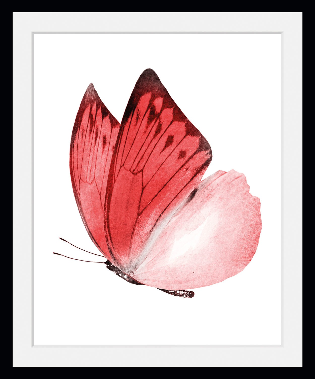 queence Bild »Liana«, Schmetterlinge-Kunst-Insekten, (1 St.), HD Premium Poster-Druck inkl. Holzrahmen