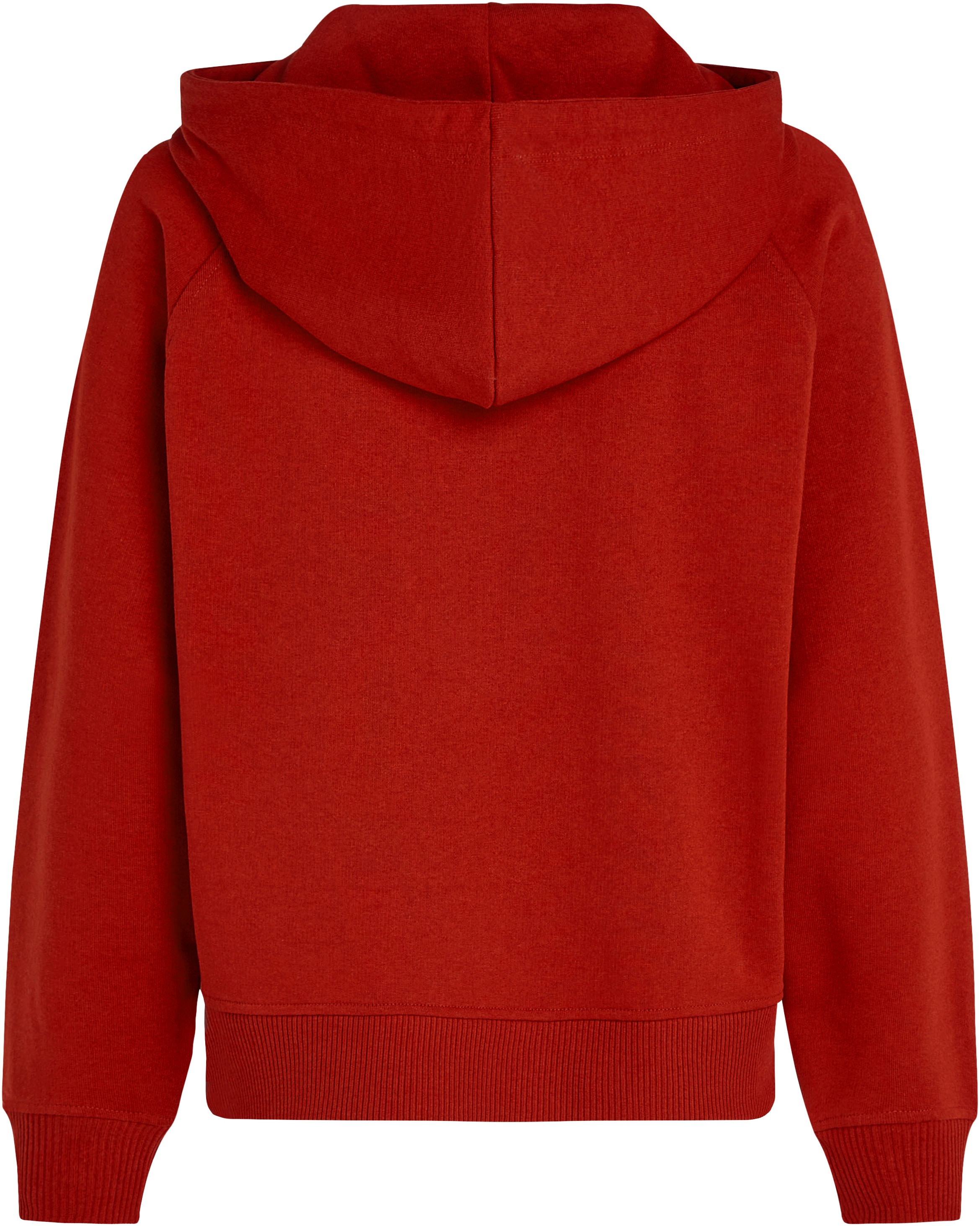 Tommy Hilfiger Kapuzensweatshirt »MDRN REG VARSITY HOODIE«, mit Kapuze