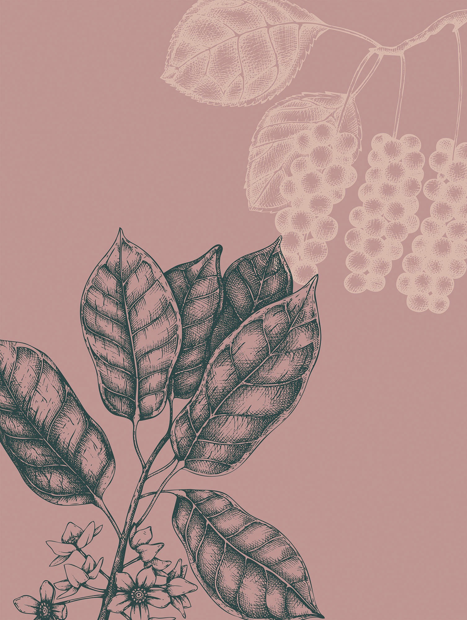 Komar Wandbild »Wild Berry«, (1 St.), Deutsches Premium-Poster Fotopapier mit seidenmatter Oberfläche und hoher Lichtbeständigkeit. Für fotorealistische Drucke mit gestochen scharfen Details und hervorragender Farbbrillanz.