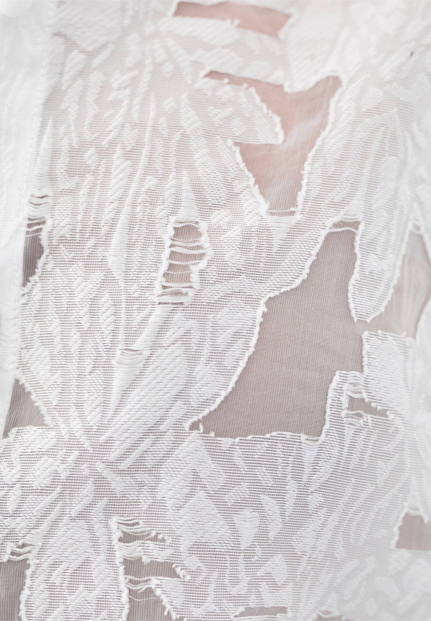 heine Hemdbluse »Bluse Hemdbluse in Ausbrenner-Optik«
