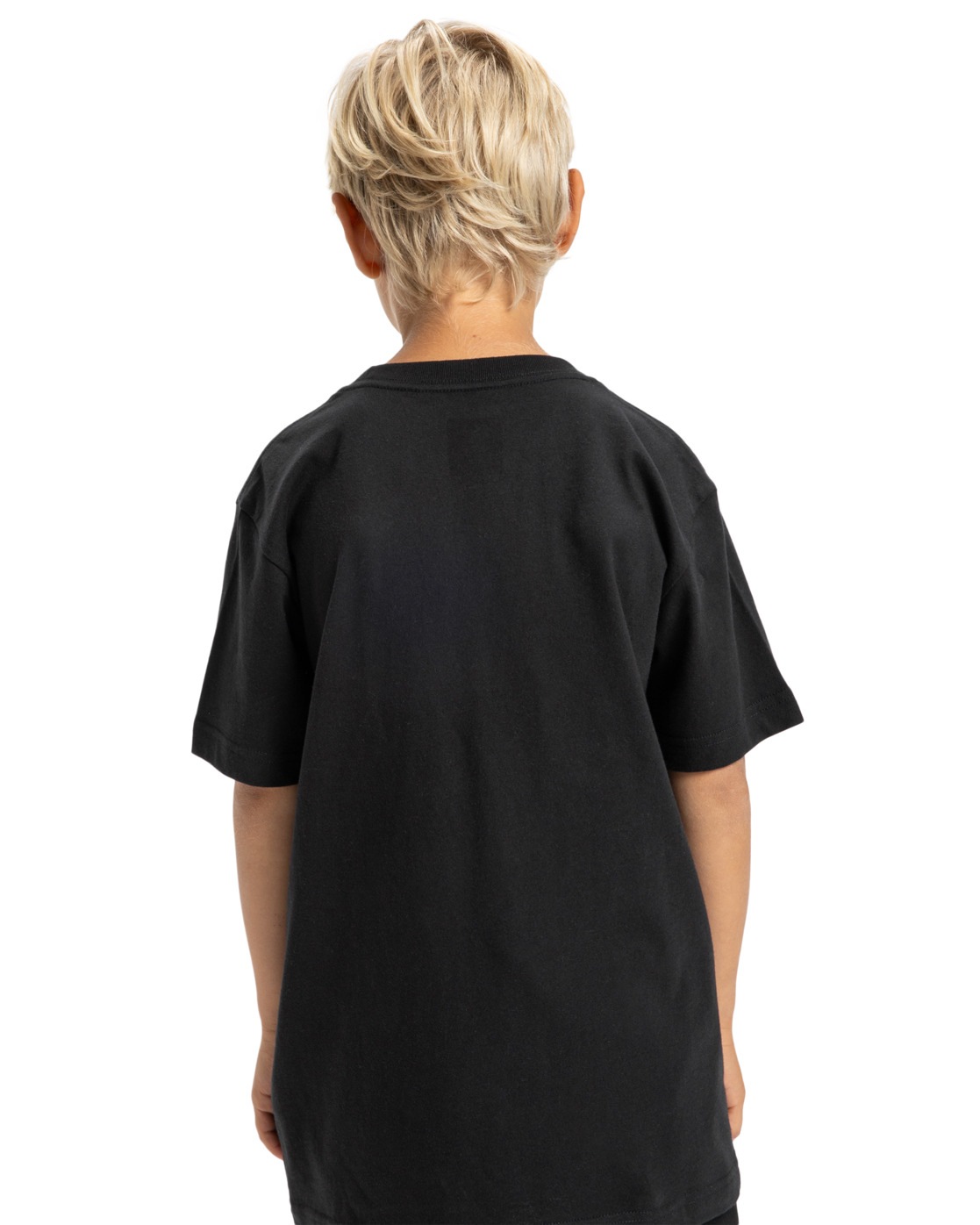 DC Shoes T-Shirt »DC Star Filled«