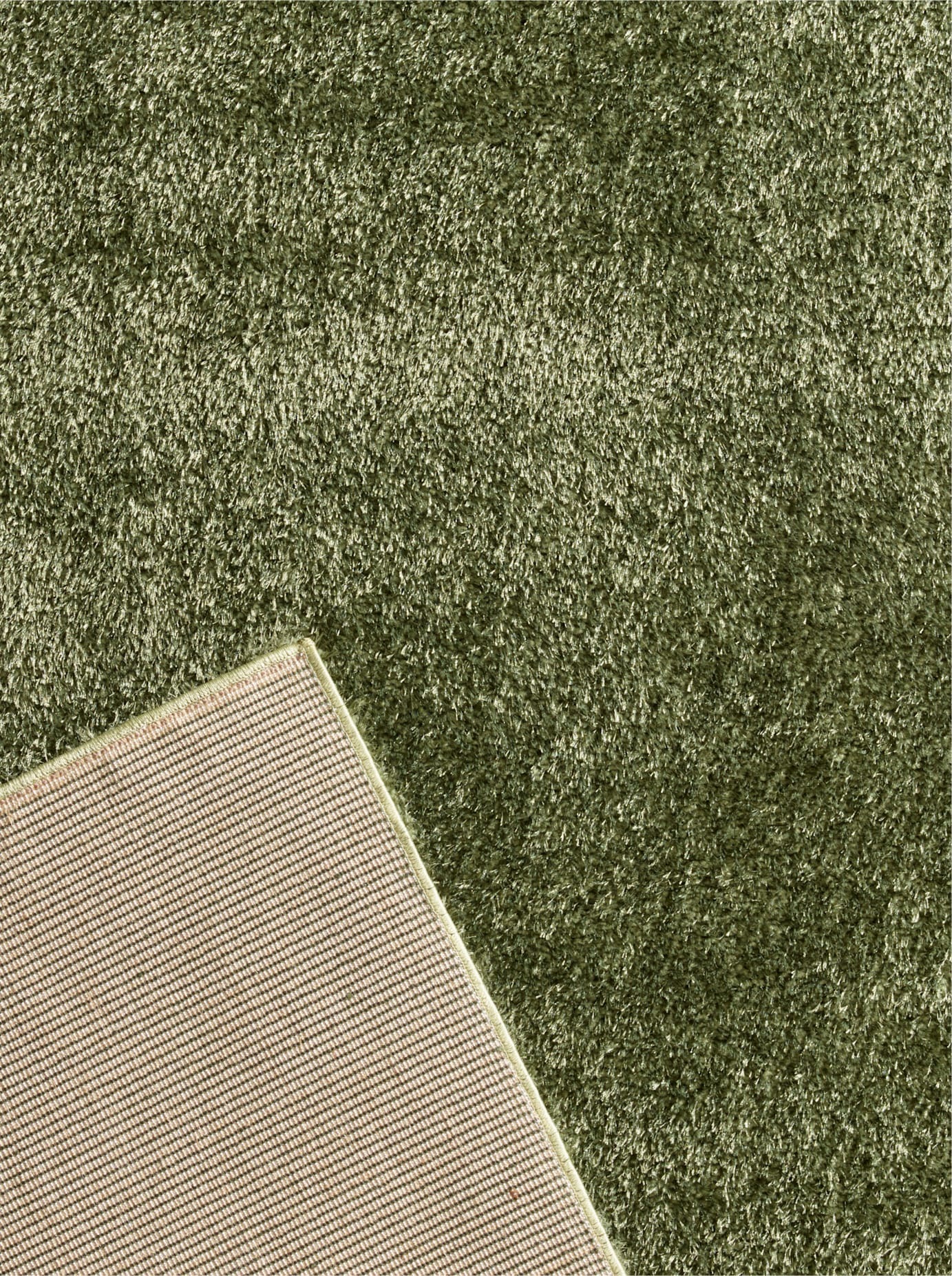 heine home Teppich rechteckig 40 mm Höhe