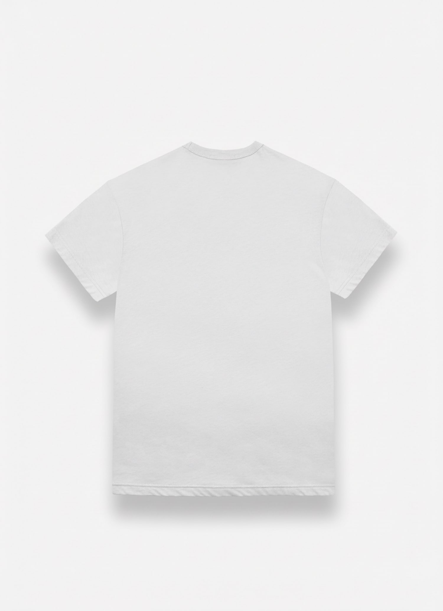 Colmar T-Shirt »MENS T-SHIRT« mit Logo, Rundhals, regular fit