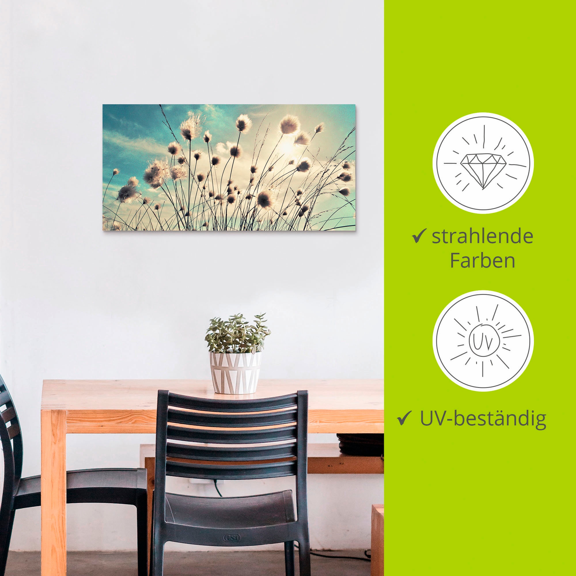 Artland Wandbild »Wollgras« Gräser 1 Stk. tlg. als Alubild, Outdoorbild, Leinwandbild, Poster, Wandaufkleber