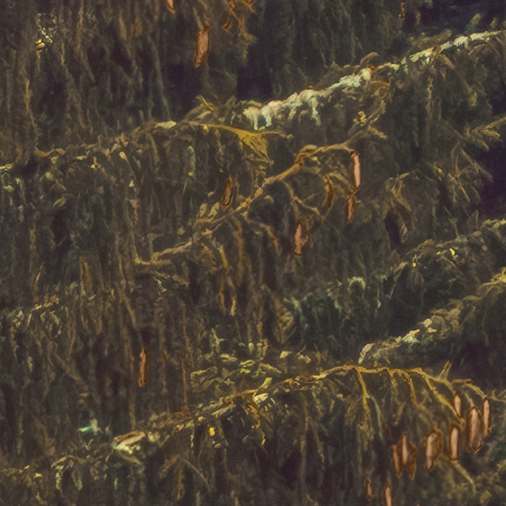 Komar Fototapete »Vlies Fototapete - Foggy Firs - Größe 400 x 250 cm« Motiv | bedruckt glatt