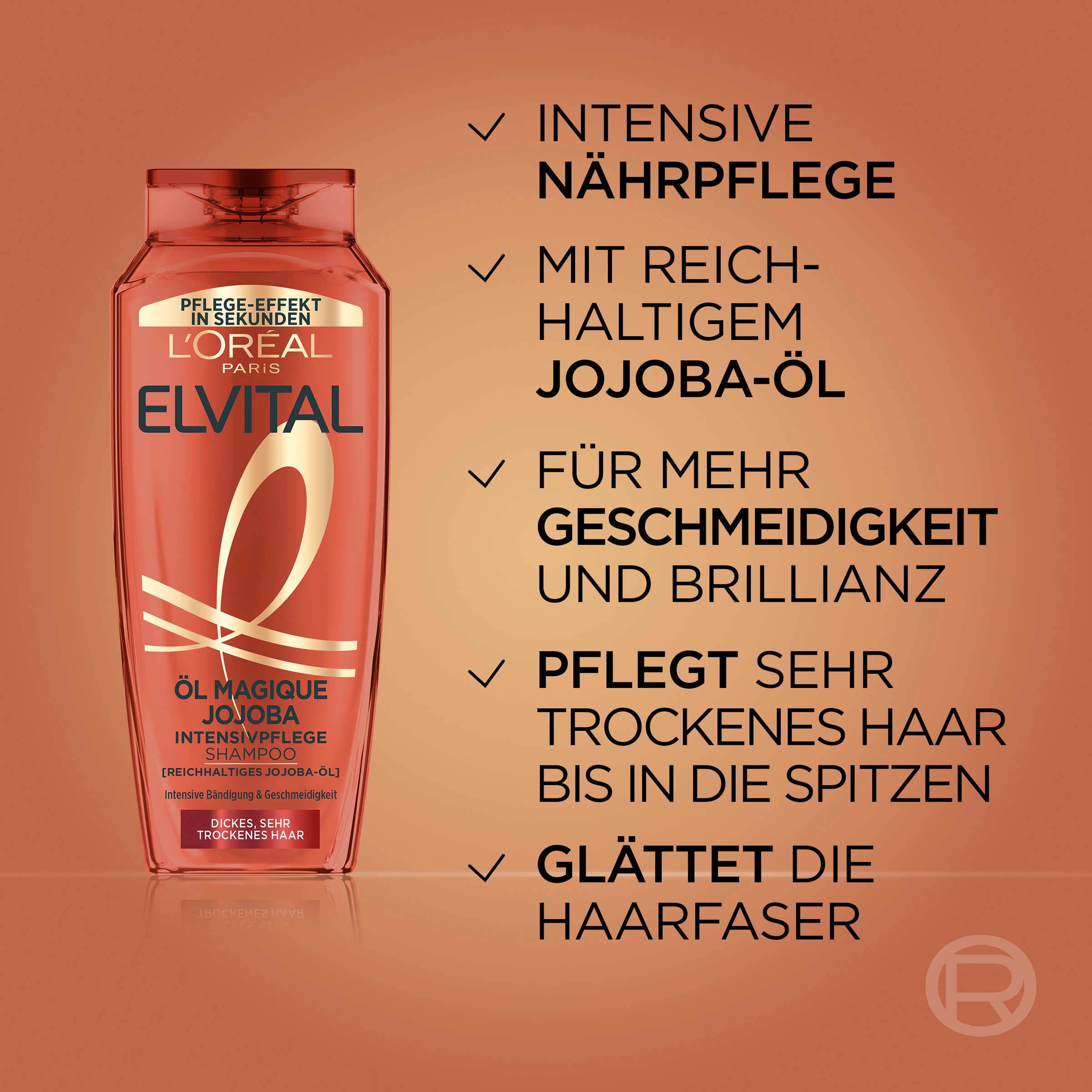 L'ORÉAL PARIS Haarshampoo »L'Oréal Paris Elvital Öl Magique Jojoba Shampoo«, (Packung, 6 tlg.)