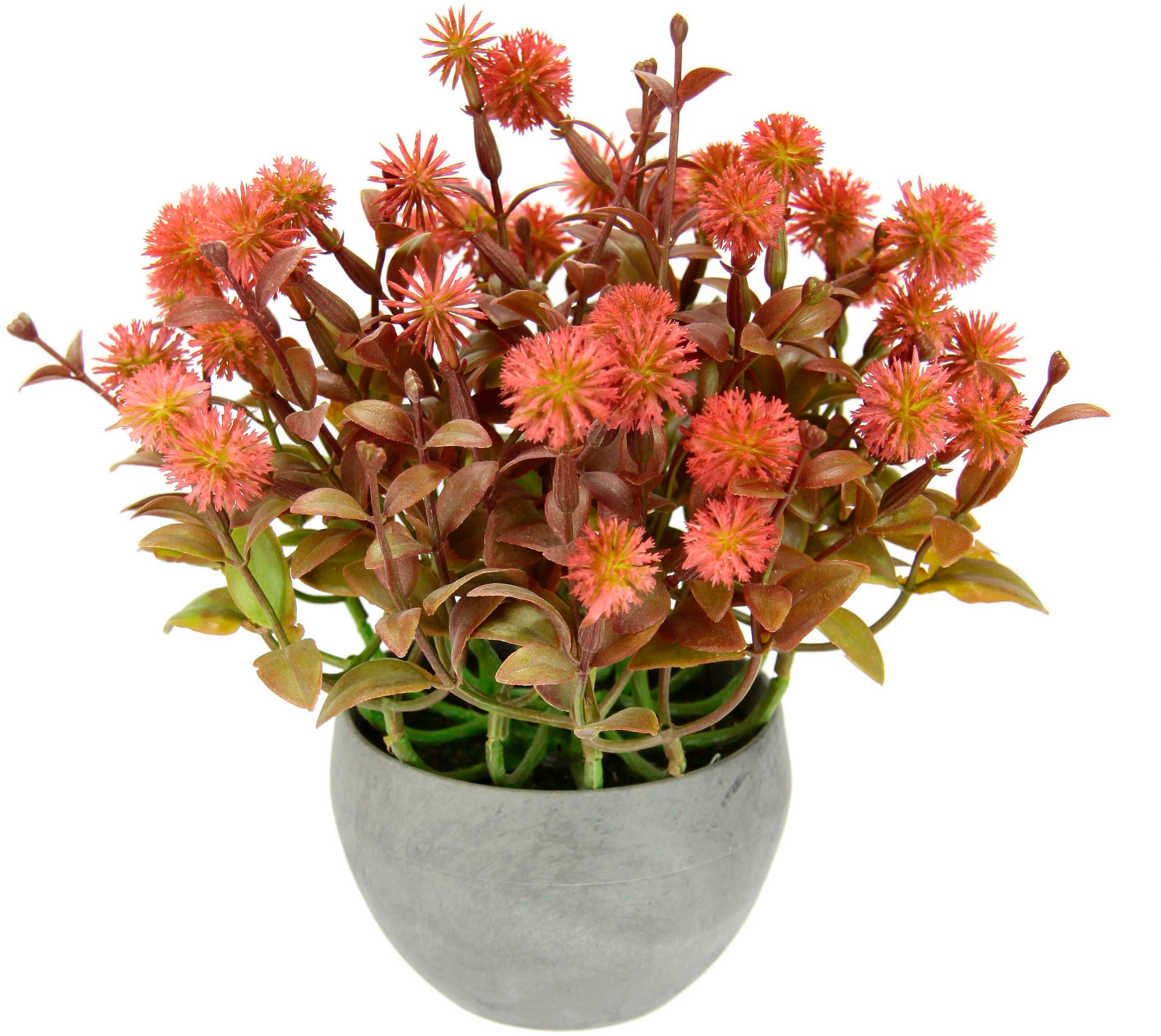 Künstliche Pflanze Deko Tischdeko Blütenbusch Kunstblumen Topf«, bestellen I.GE.A. Blumen Busch Kunstpflanze »Margerite bequem im