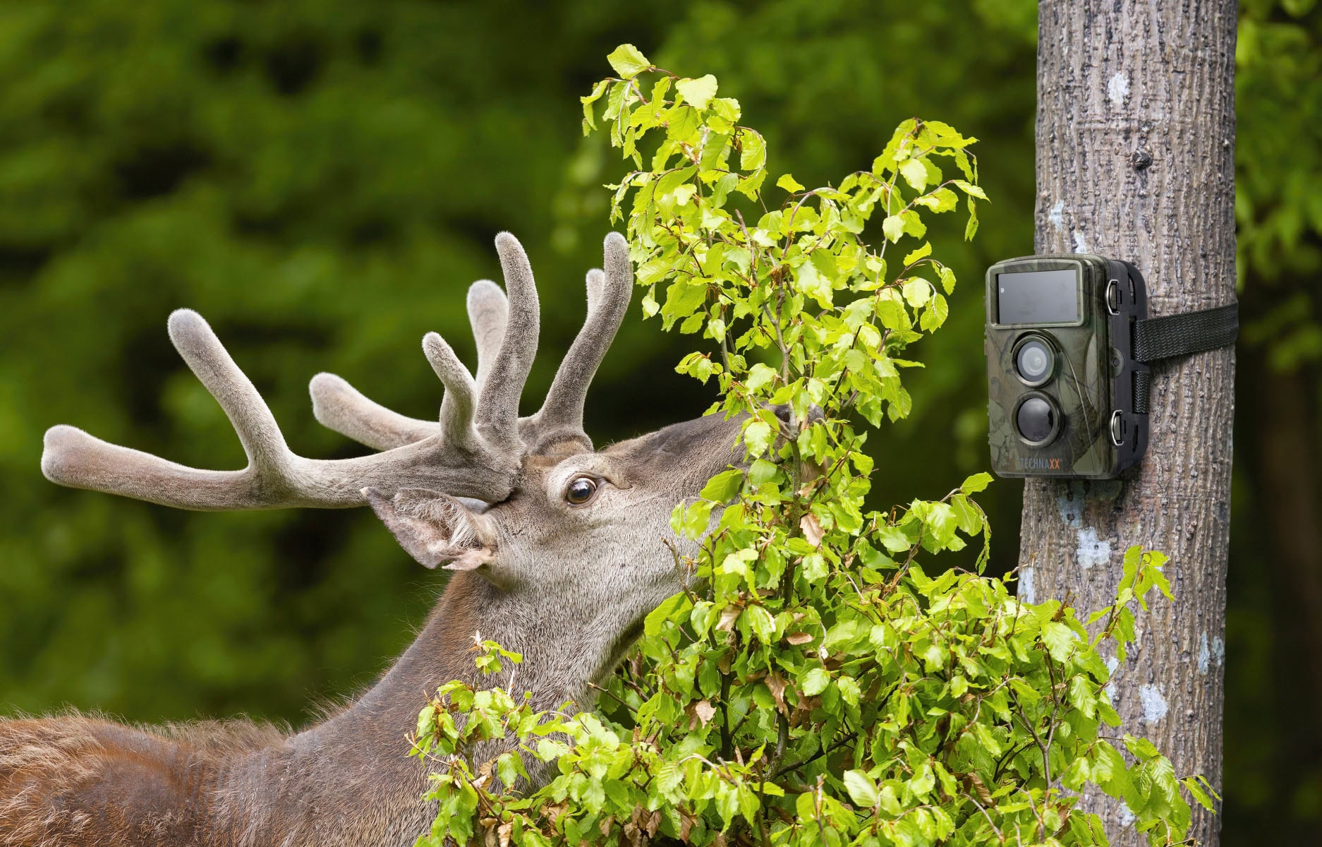 Technaxx Wildkamera »Nature Wild Cam TX-160«, Außenbereich