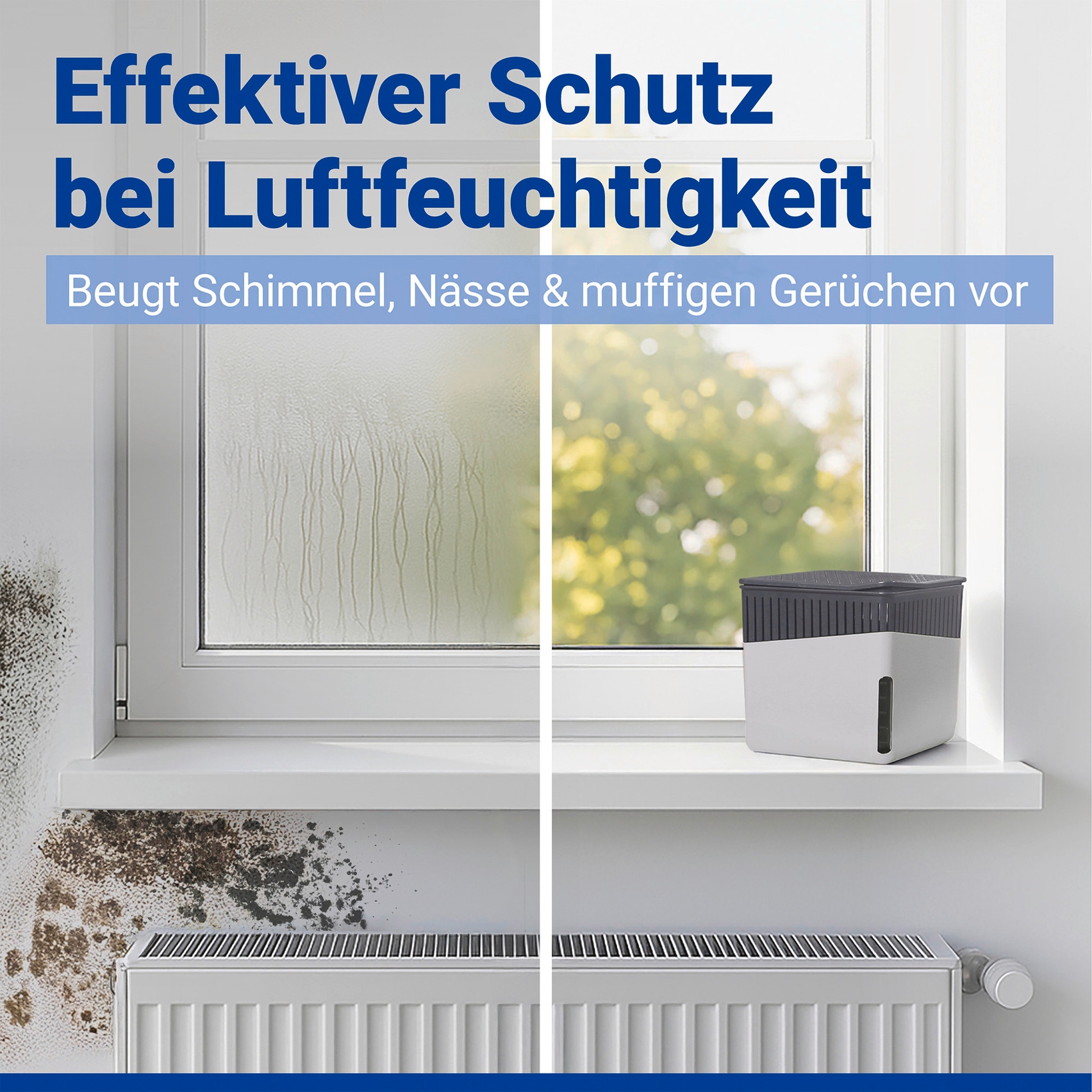 WENKO Luftentfeuchter »Cube« für 80 m³ Räume mit 2 x 1000 g Entfeuchter-Blöcken, für Räume bis 80 m³