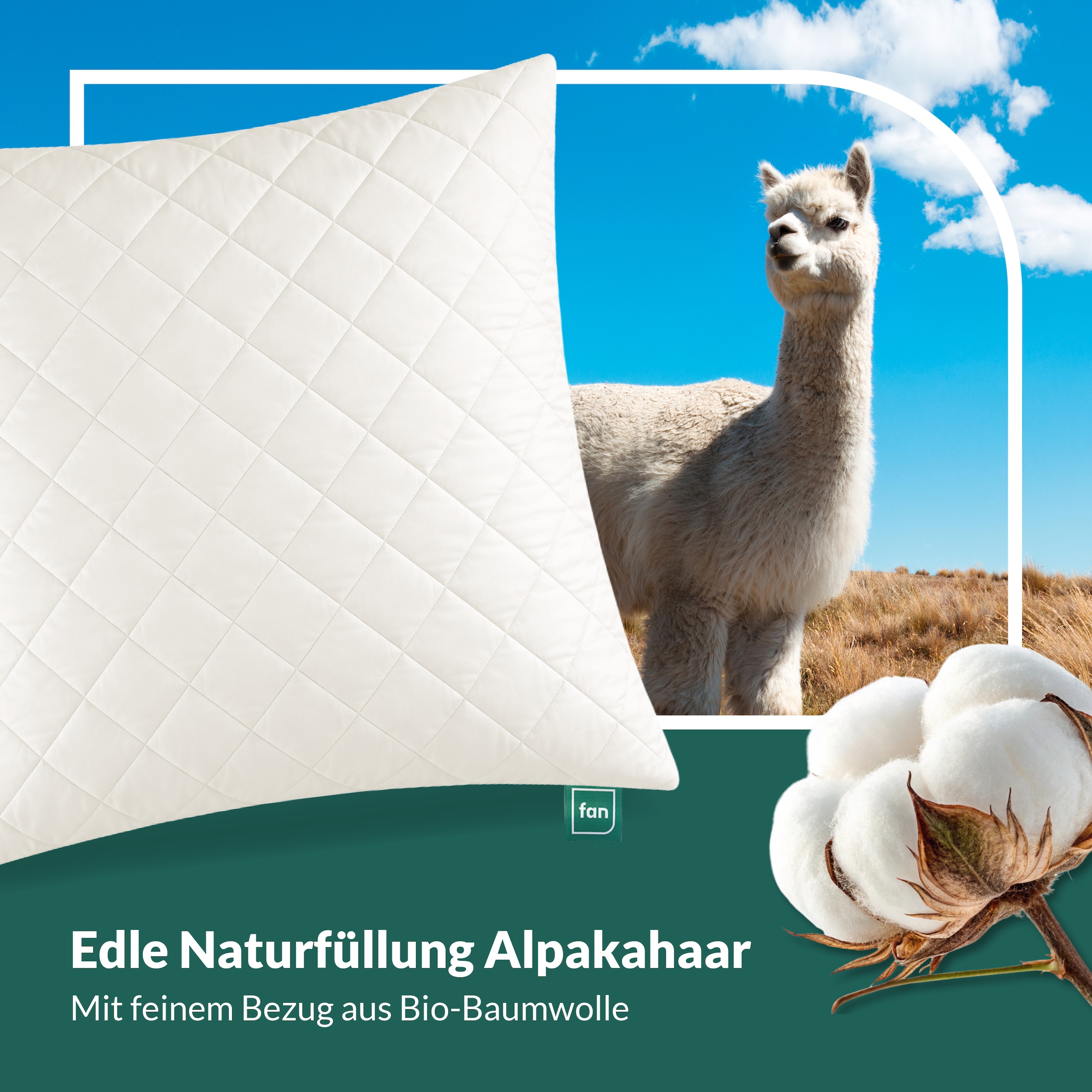 fan Naturhaarkissen »Baby Alpaka« Füllung: Wolle 1 Stk. tlg. Alpaka-Steppfüllung "Vlies der Götter"