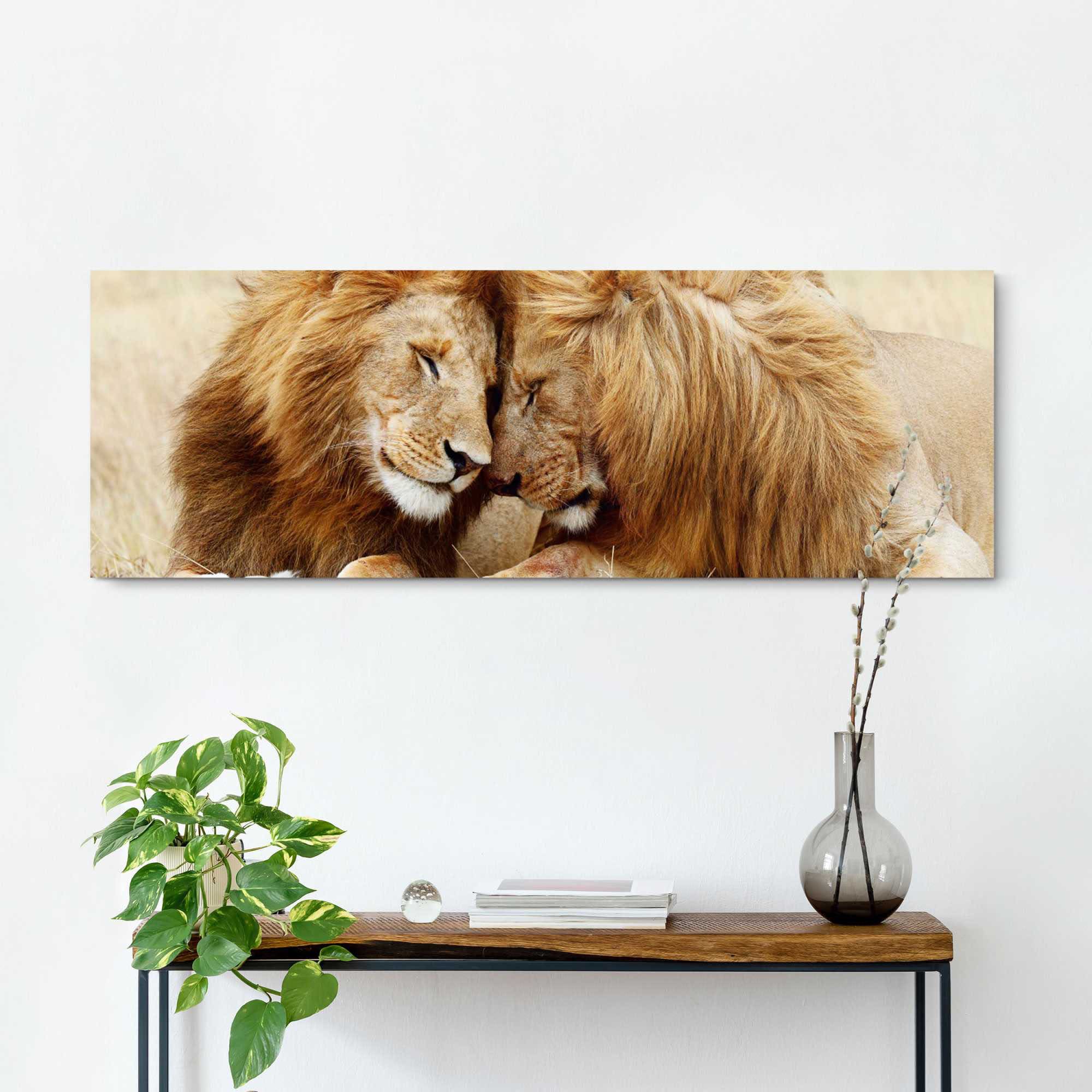 Reinders! Wandbild »Löwenliebe«