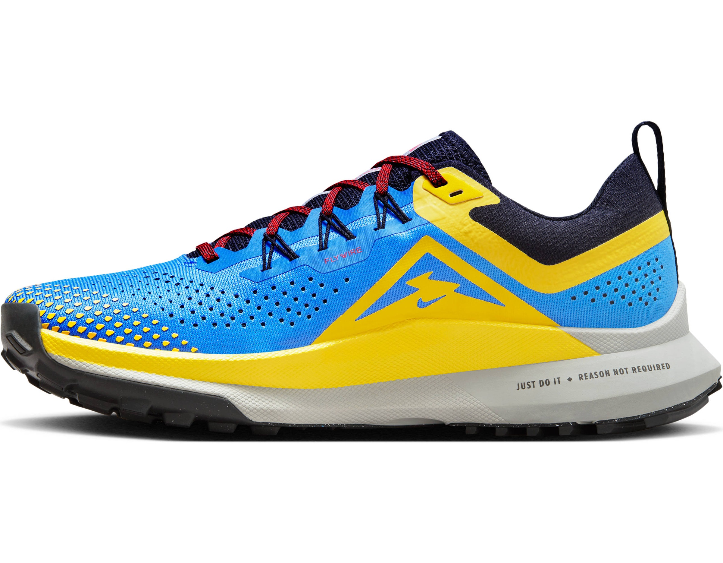 Nike Laufschuh »PEGASUS TRAIL 4 TRAIL«