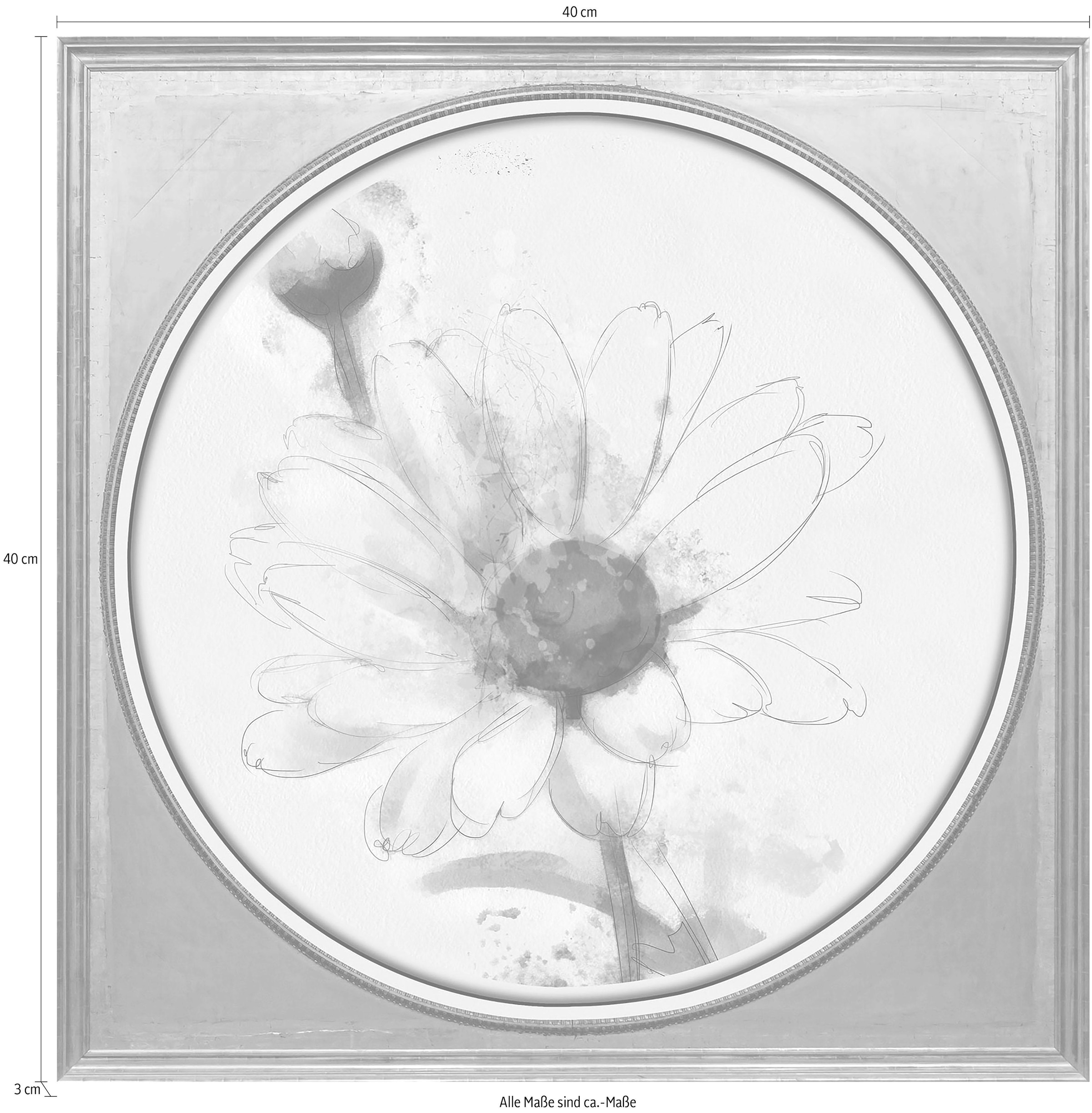 queence Acrylglasbild »Weiße Blüte«, Blumen-Blumenbilder-Kunst-Pflanzen-Pflanzenbilder-Gemälde, Fine Art-Print in Galeriequalität