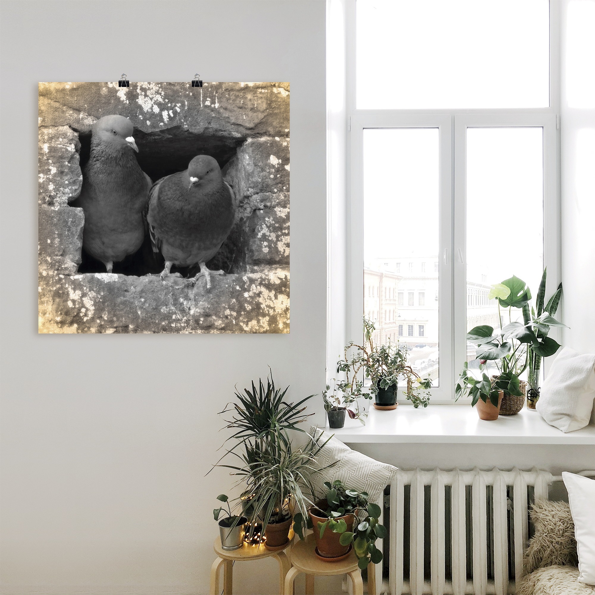Artland Wandbild »Tauben Liebe« Vögel 1 Stk. tlg. als Alubild, Poster in verschied. Größen