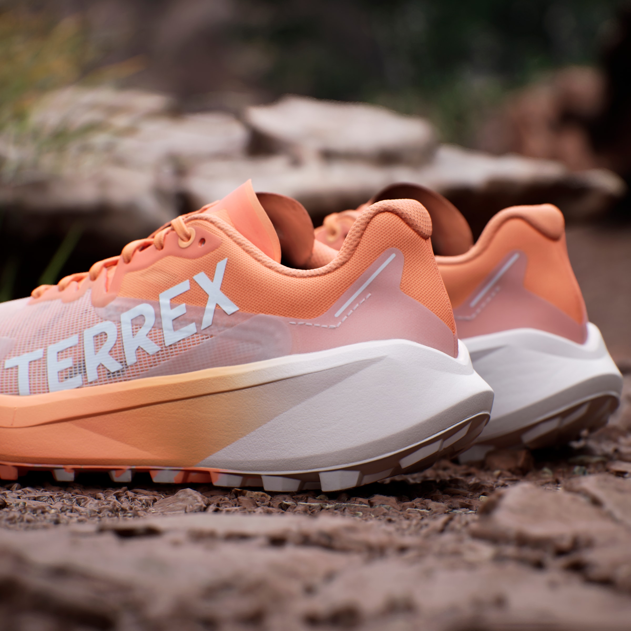 adidas TERREX Trailrunningschuh »TERREX AGRAVIC 3 TRAILRUNNING«