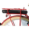 FISCHER Fahrrad E-Bike »CITA RETRO 2.1 317«, 3 Gang, Shimano, Nexus, (mit Akku-Ladegerät-mit Werkzeug), ebike Damen