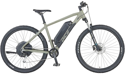 E-Bike »DICE 2.0«, 9 Gang, Shimano, Heckmotor 250 W