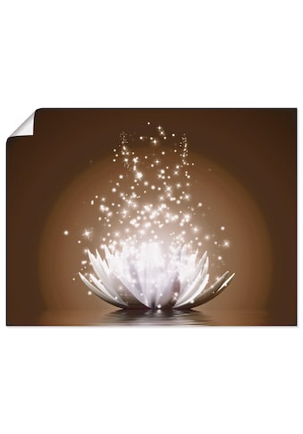 Artland Wandbild »Magie der Lotus-Blume«, Blumen, (1 St.) kaufen