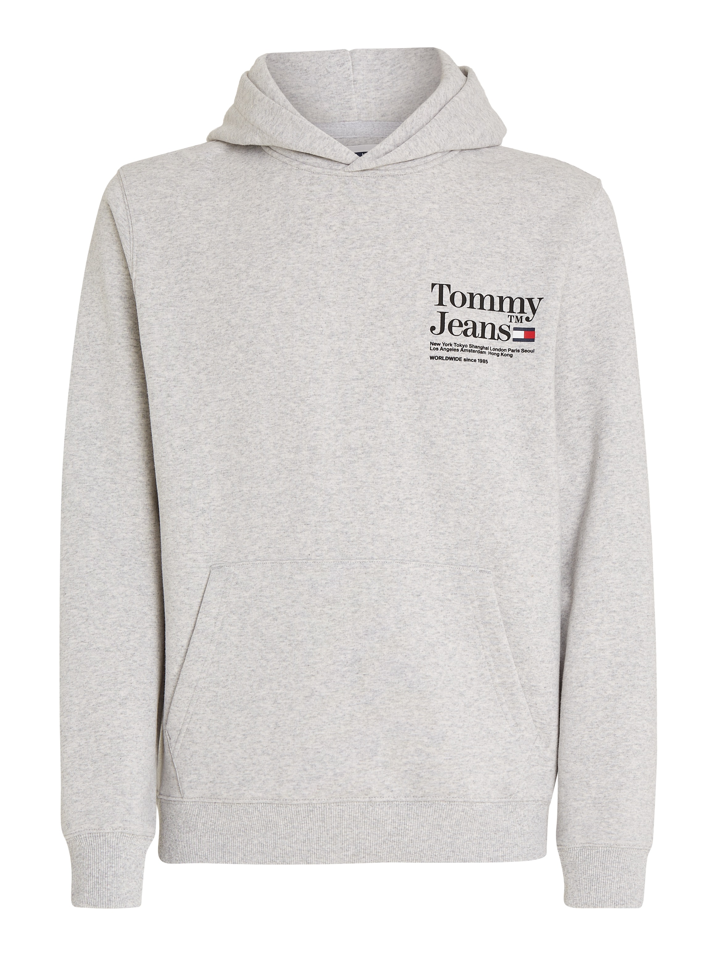 Tommy Jeans Kapuzensweatshirt »TJM REG MODERN TOMMY TM HOODIE«