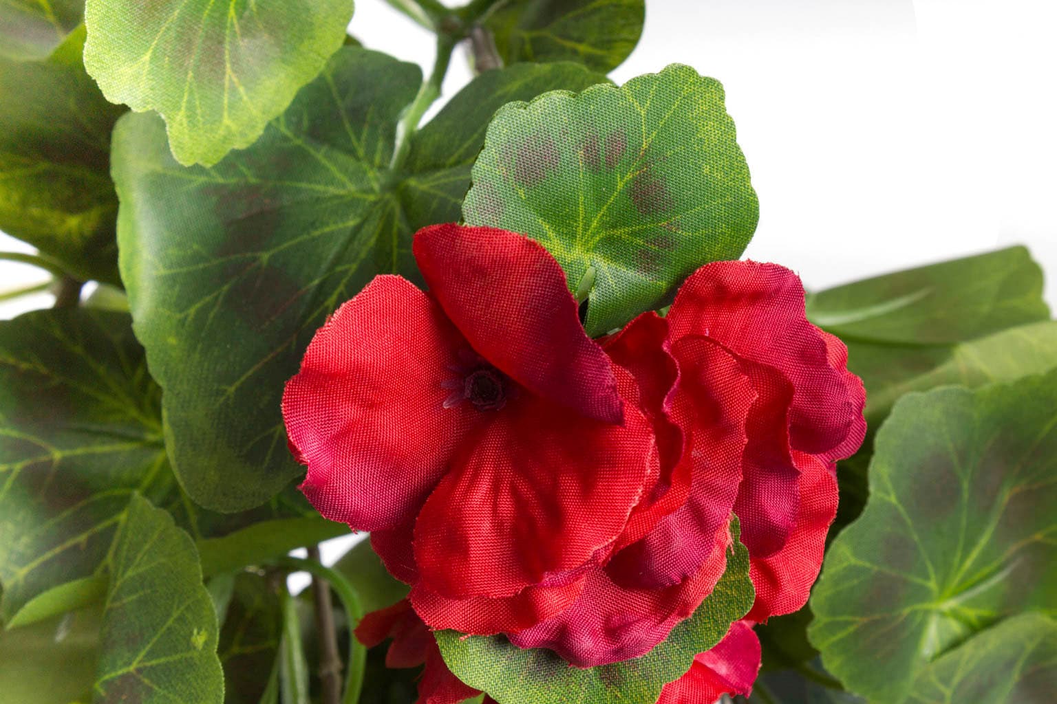 »Geranienhängebusch« Botanic-Haus auf Raten Kunstblume bestellen